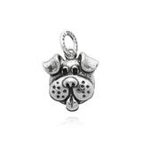 Charm dog