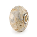 Legno Fossile