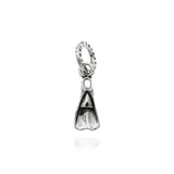 Charm pinna