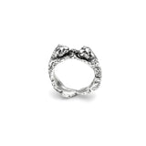 Anello leopardi