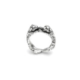 Anello leopardi