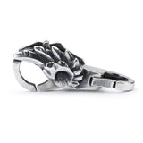 Chiusura Luci e Ombre