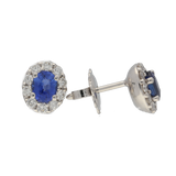 Orecchni contorno classici con zaffiri e diamanti