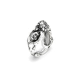 Anello leoni
