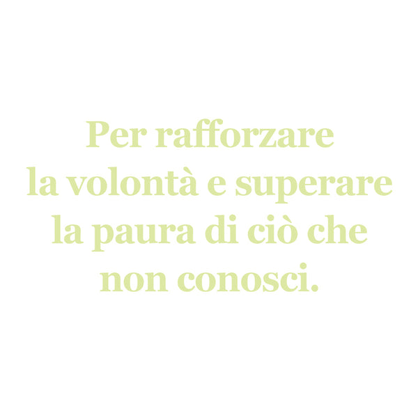 Gufo della Volontà