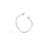 Anello anniversary more con due diamanti ct. 0,20 R01FN006/020