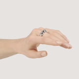 Anello leoni