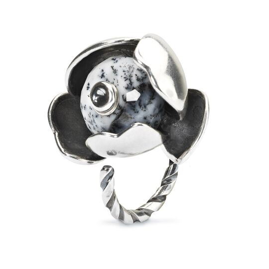 Anello del Cambiamento a Spirale
